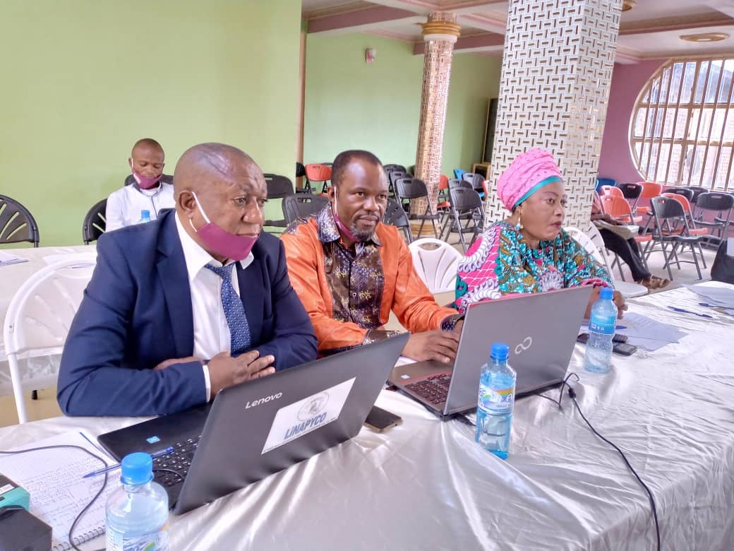 Membres de la LINAPYCO en session de travail sur ordinateurs